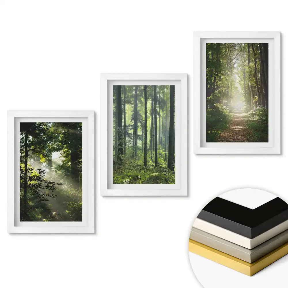 Set tablouri pentru living cu peisaj pădure Oaze verzi de pace