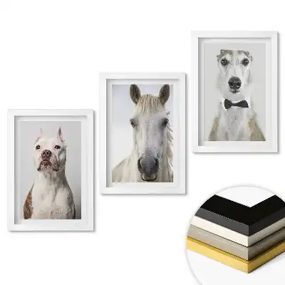 Set de 3 tablouri pentru dormitor cu animale în portrete elegante