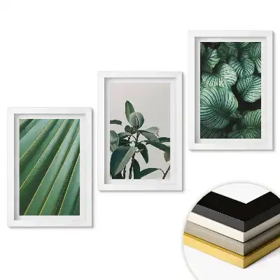 Set de tablouri pentru living Armonie verde din trei piese