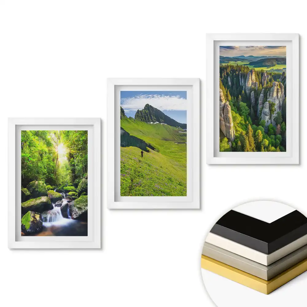 Set tablouri pentru living cu peisaje verzi din natură