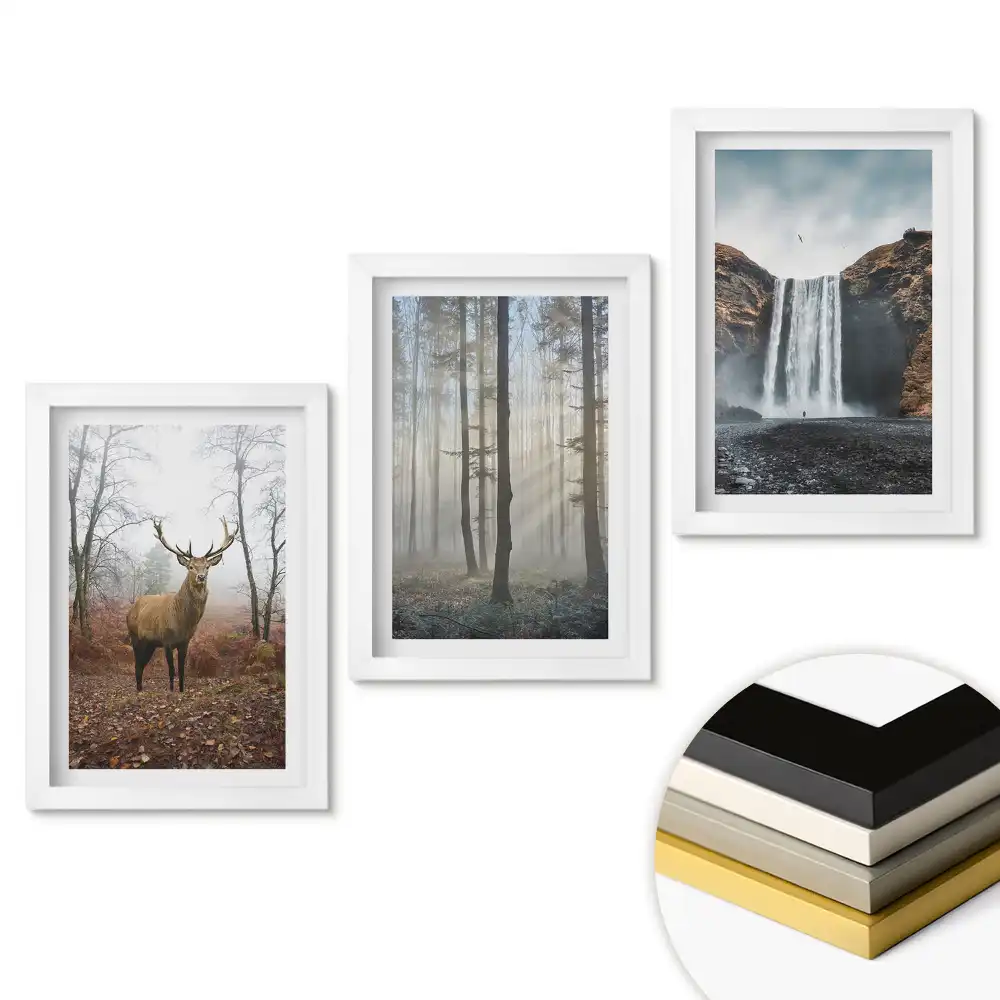 Set de trei tablouri pentru living cu tematică Natura