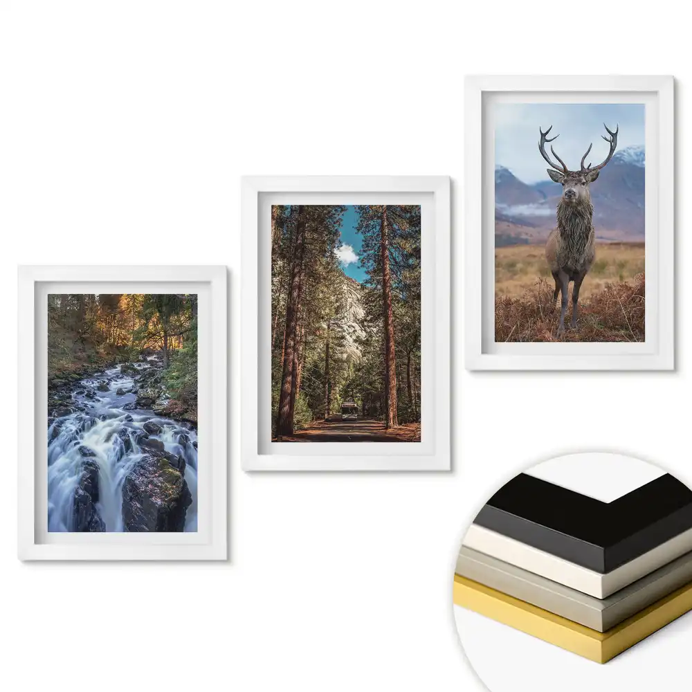 Set tablouri pentru living Natura în trei versiuni