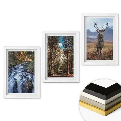 Set tablouri pentru living Natura în trei versiuni