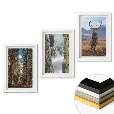 Set de 3 tablouri pentru dormitor cu tematică Natura în trei versiuni
