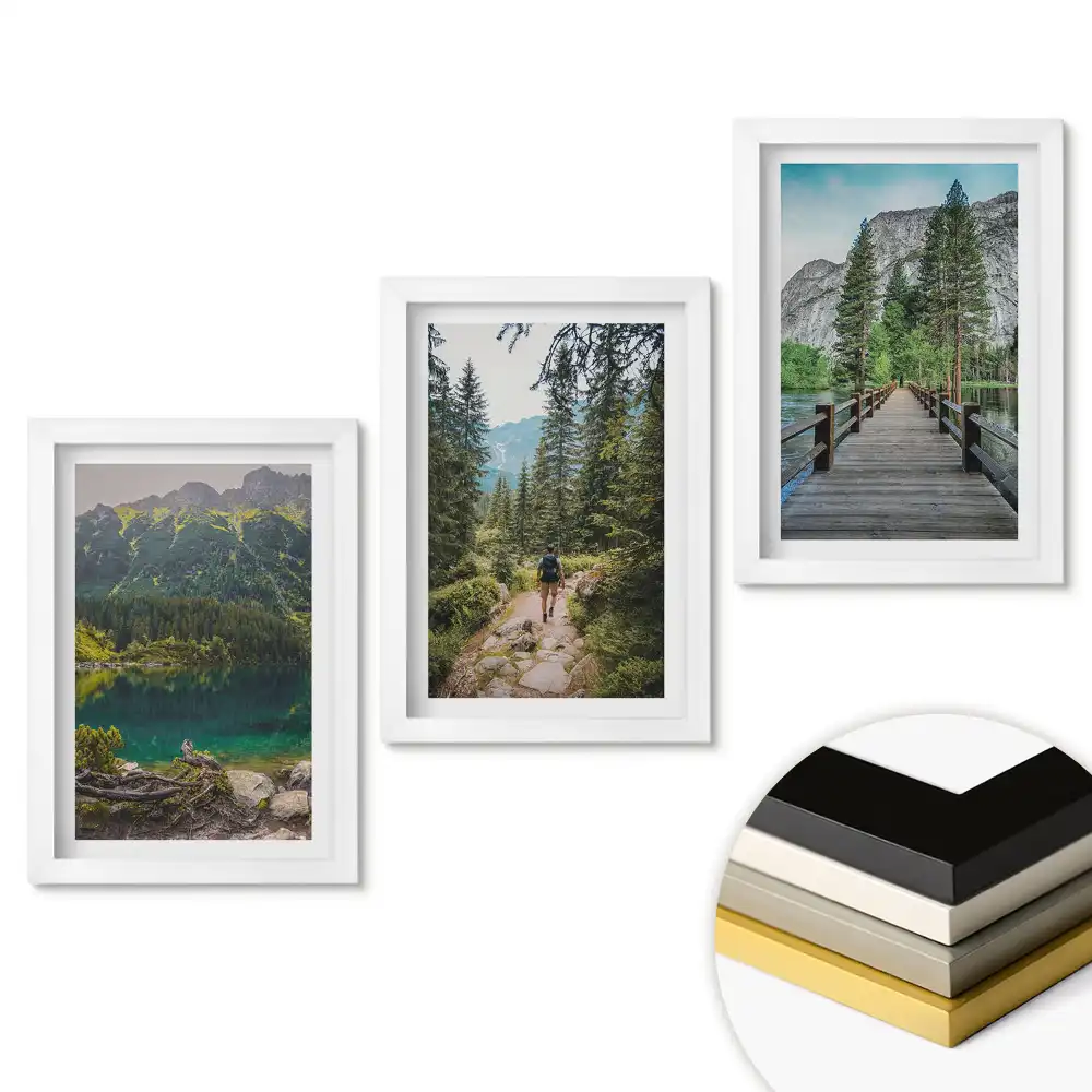 Set de tablouri pentru living Natura în trei versiuni
