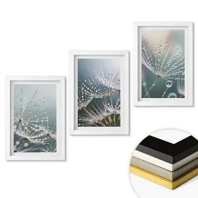 Set 3 tablouri pentru dormitor Picături de rouă pe pene delicate