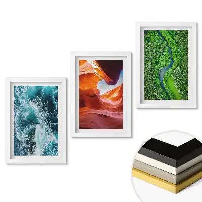 Set de trei tablouri pentru living cu design Natura