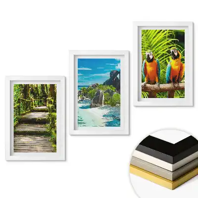 Set de 3 tablouri pentru dormitor cu peisaje tropicale și păsări colorate