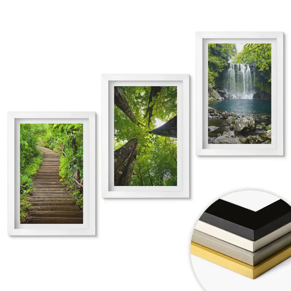 Set tablouri pentru living O oază verde de natură și liniște