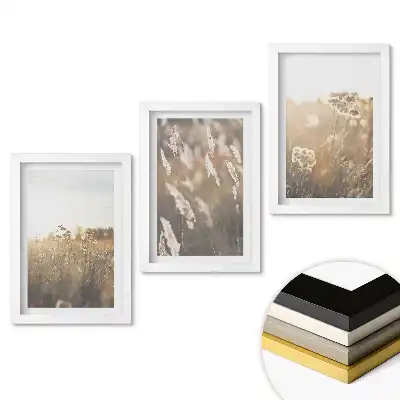 Set tablouri pentru living cu peisaje florale în lumină blândă