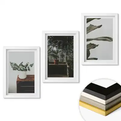 Set tablouri pentru living cu plante într-un interior modern