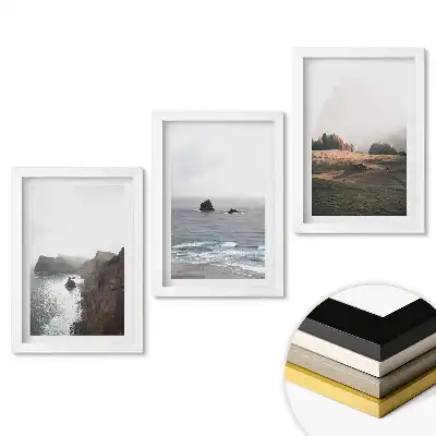 Set de 3 tablouri pentru dormitor cu design Natura în trei versiuni