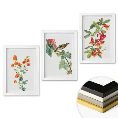 Set de tablouri pentru living cu flori și păsări în natură