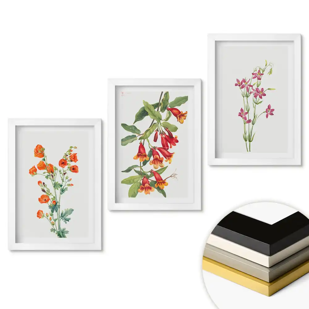 Set de 3 tablouri pentru dormitor cu ilustrații delicate de flori colorate