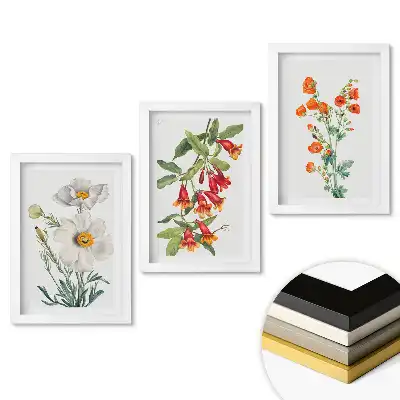 Set de tablouri pentru living cu ilustrații florale delicate