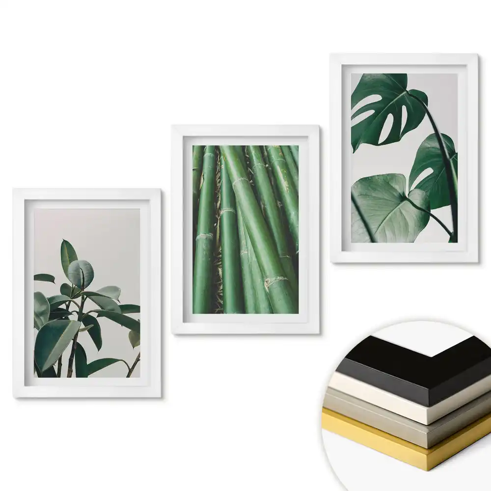 Set de tablouri pentru living cu fotografii elegante de frunze verzi