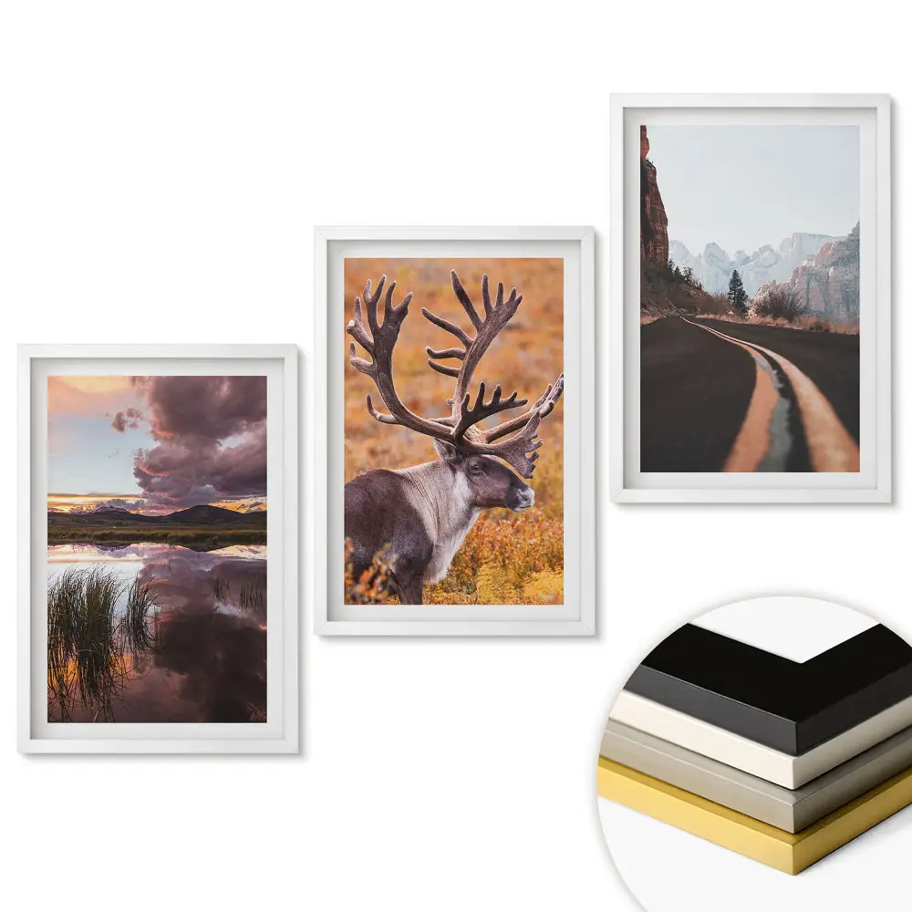 Set de 3 tablouri pentru living cu tematică Natura în trei versiuni
