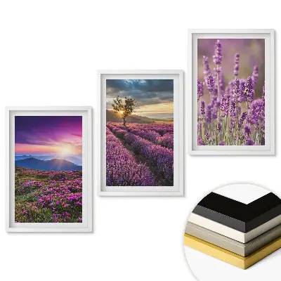 Set 3 tablouri pentru living cu peisaje de câmpuri de lavandă la apus