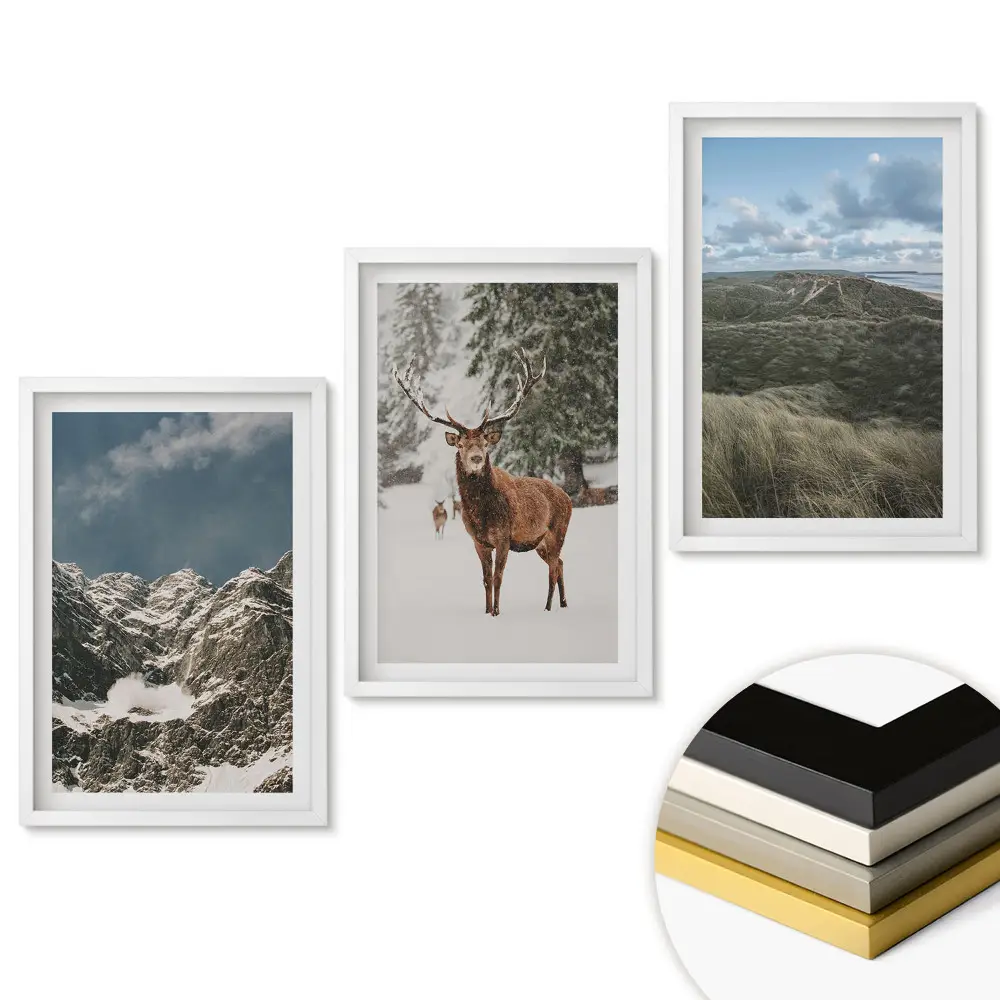 Set de tablouri pentru living Natura în trei versiuni