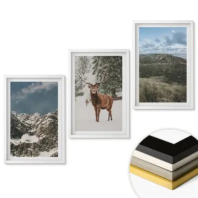 Set de tablouri pentru living Natura în trei versiuni