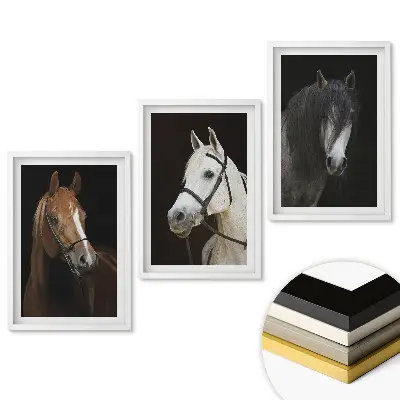 Set de trei tablouri pentru living cu portrete de cai