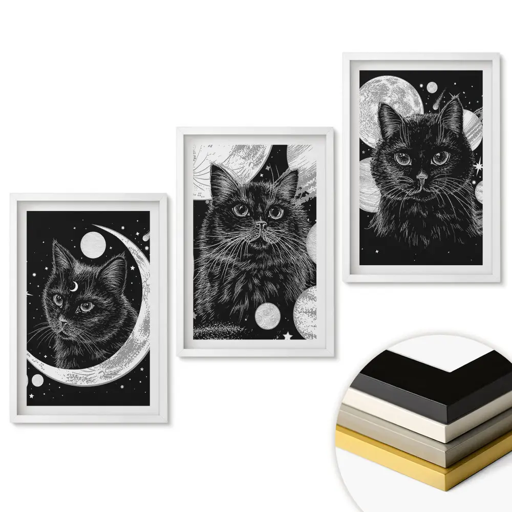 Set 3 tablouri pentru living cu pisici într-o scenă de noapte cosmică