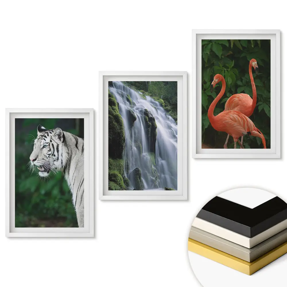 Set de 3 tablouri pentru living Animalele și natura în armonie