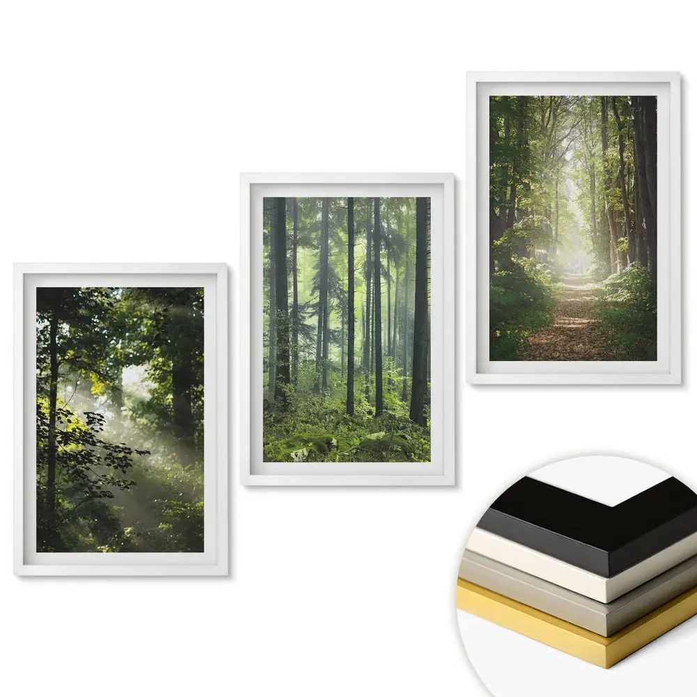 Set de 3 tablouri pentru living cu peisaj de pădure Oaze verzi de pace