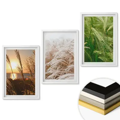 Set tablouri pentru living Câmpuri de iarbă aurie la apus