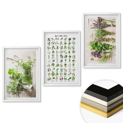 Set tablouri pentru living Ierburi și plante în arta decorativă