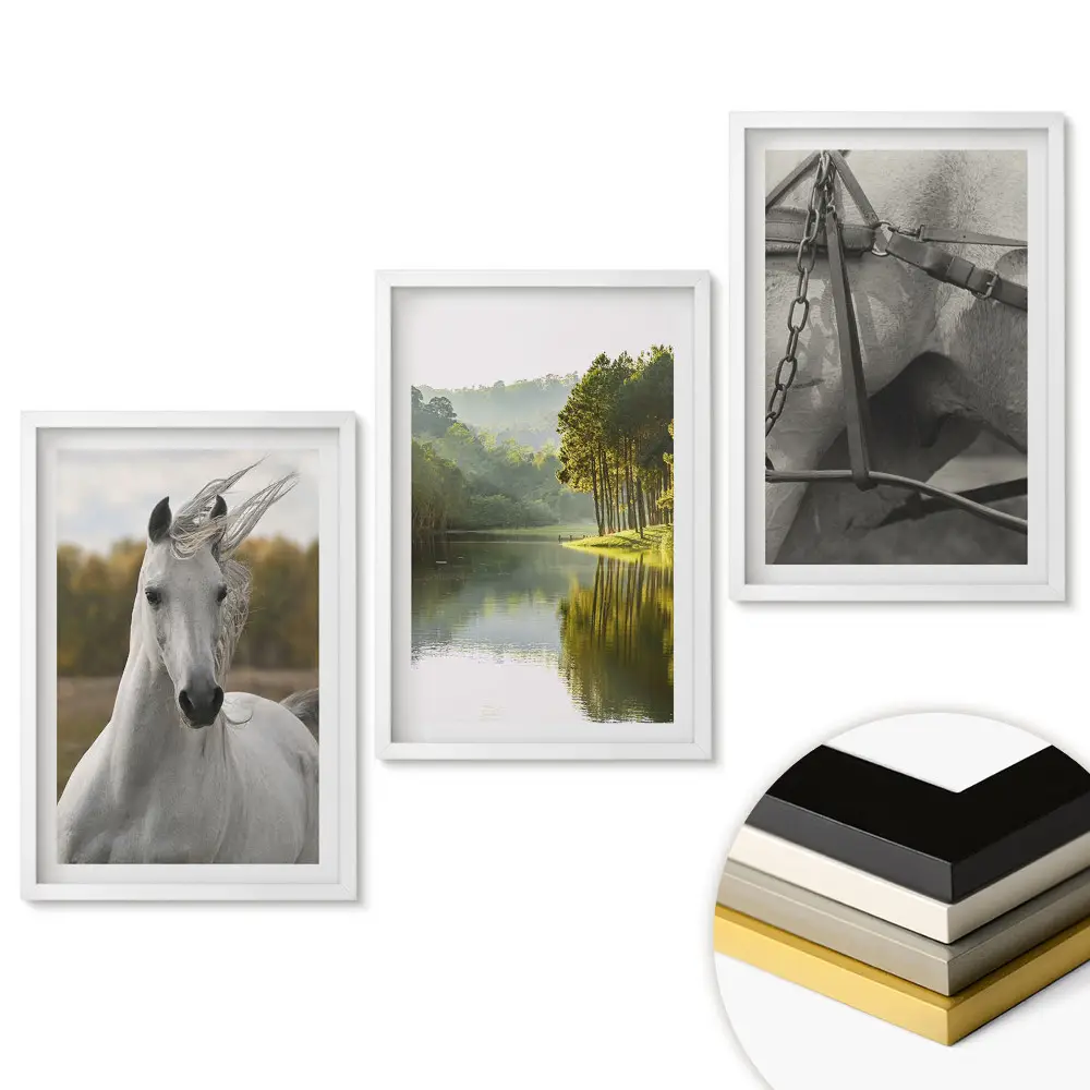 Set 3 tablouri pentru living Magia naturii și frumusețea cailor