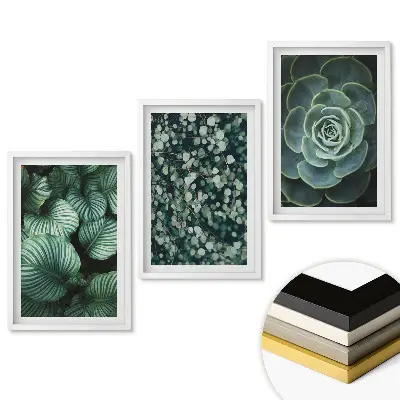 Set de 3 tablouri pentru living Frumusețea verde a naturii