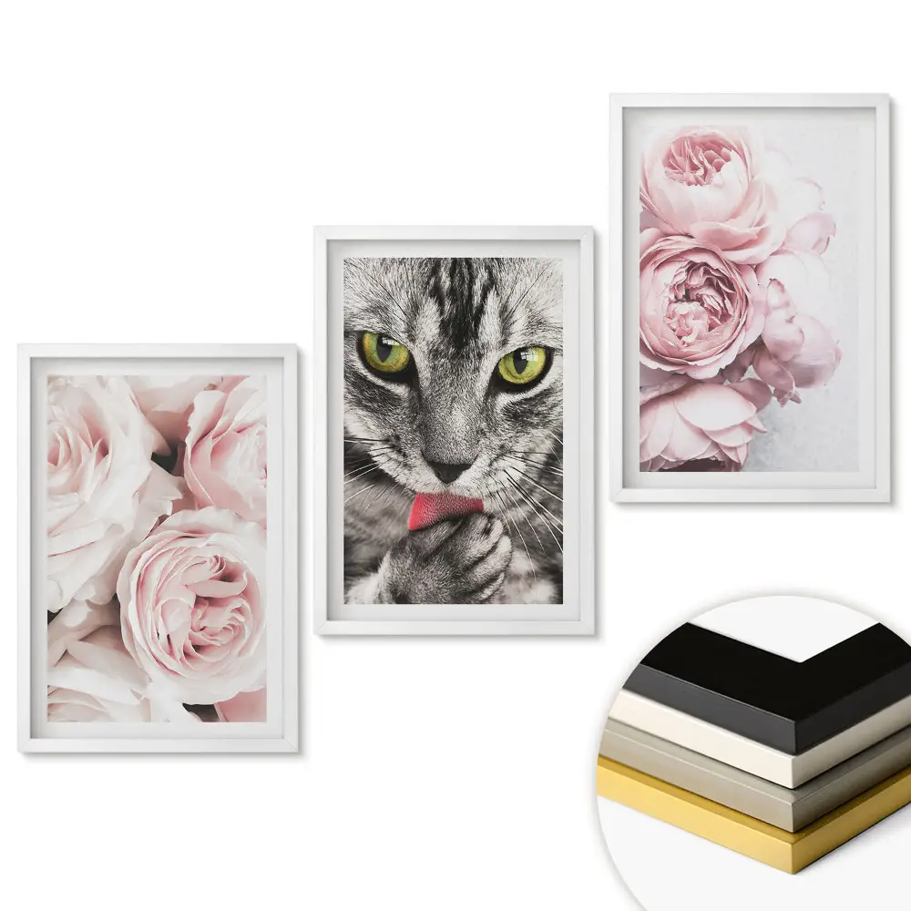 Set de tablouri pentru living cu pisici și flori