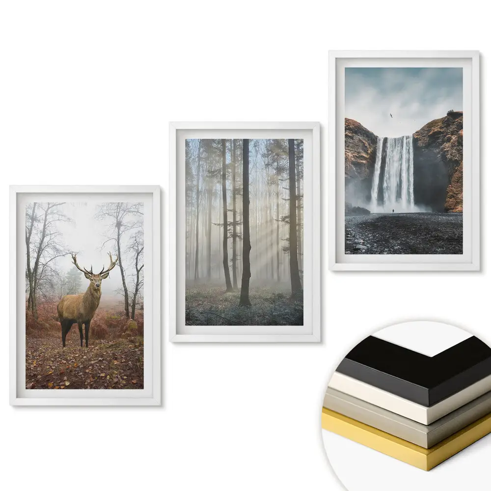 Set de 3 tablouri pentru living cu tematică natură în trei variante diferite