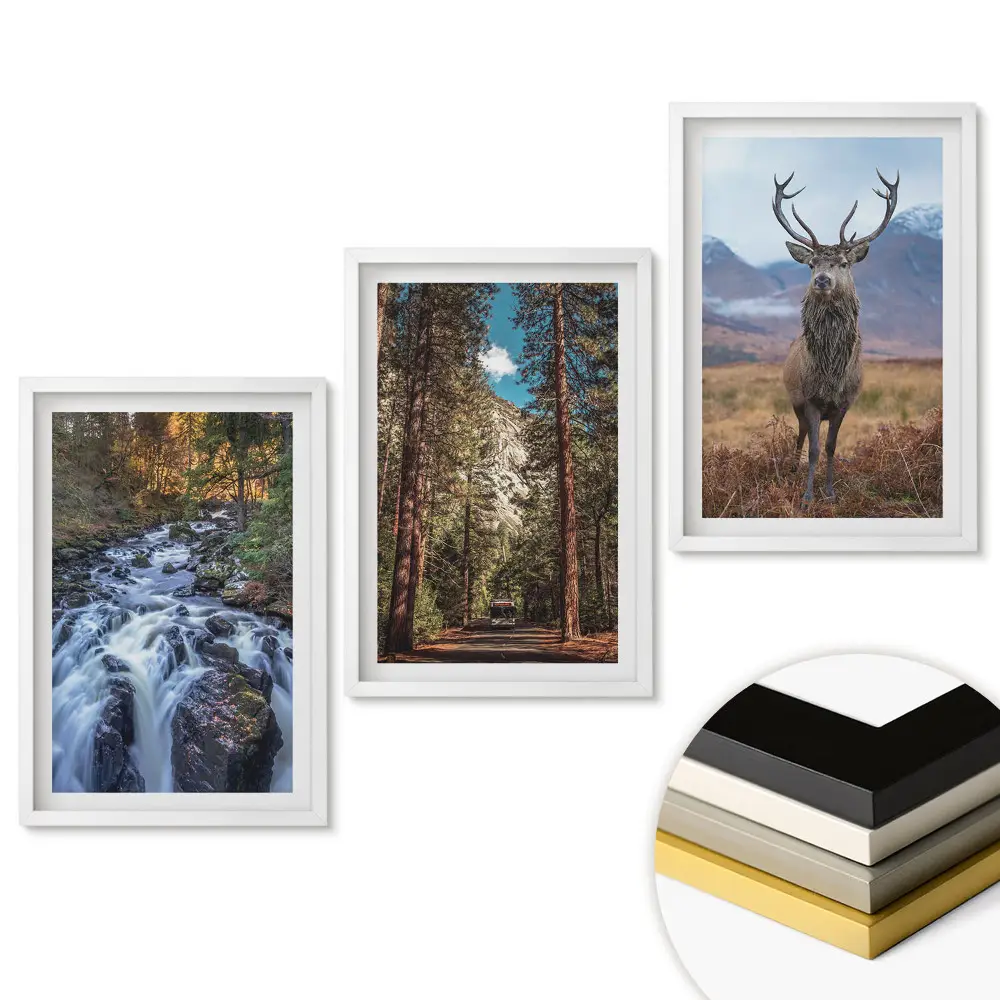 Set de 3 tablouri pentru living cu motive din natură în trei versiuni