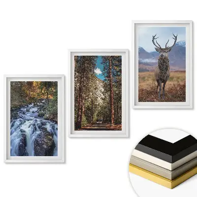 Set de 3 tablouri pentru living cu motive din natură în trei versiuni