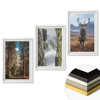 Set de trei tablouri pentru living cu tematică naturală