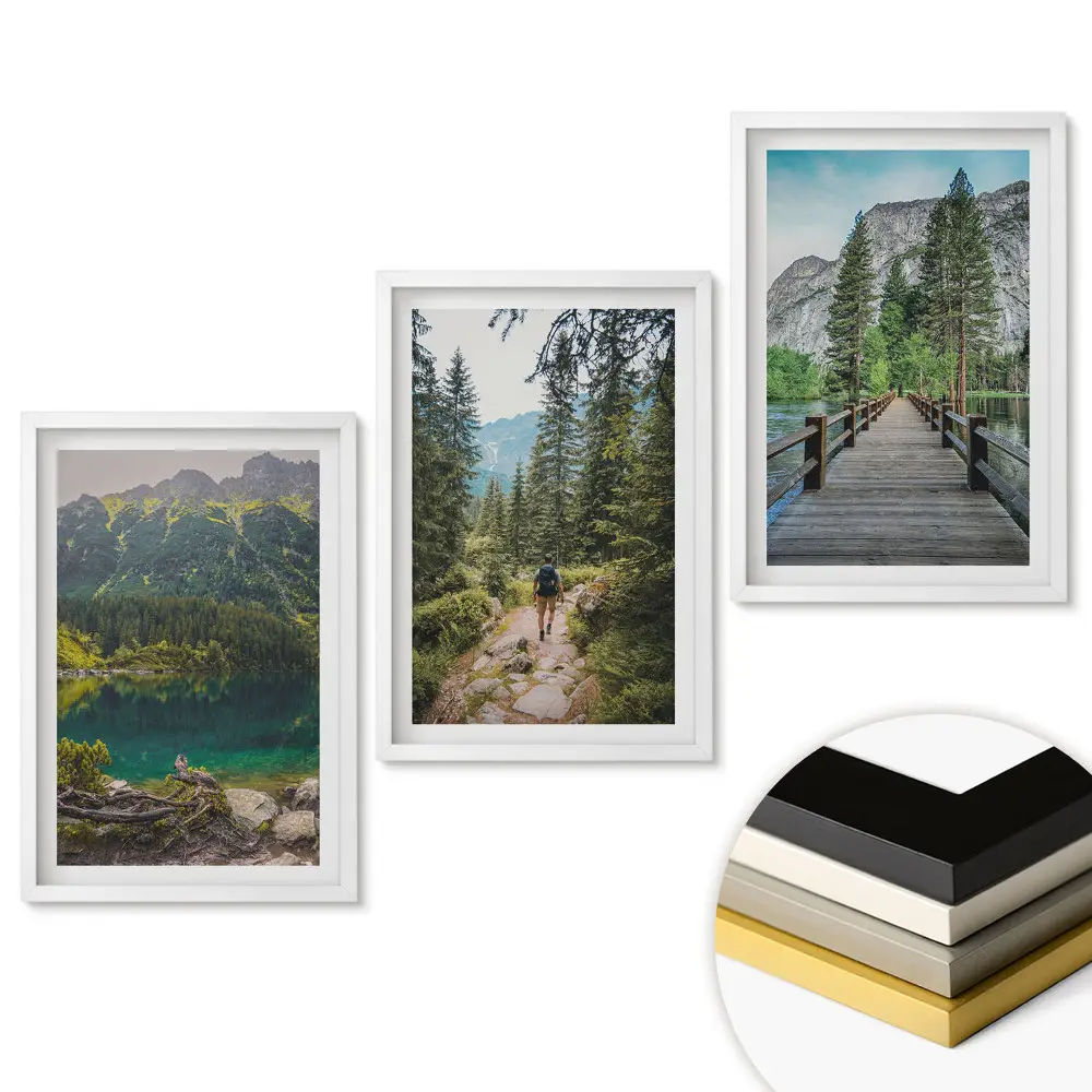 Set 3 tablouri pentru living cu tematică Natura