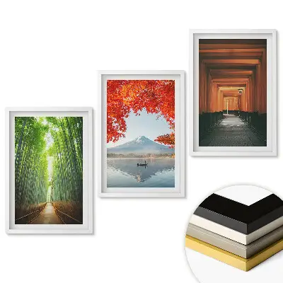 Set de 3 tablouri pentru living Frumusețe naturală