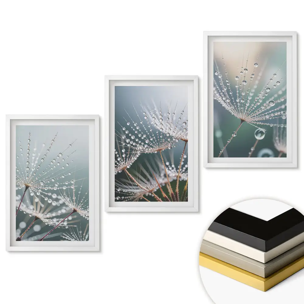 Set tablouri pentru living Picături de rouă pe pene delicate