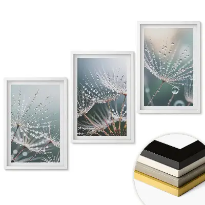 Set tablouri pentru living Picături de rouă pe pene delicate