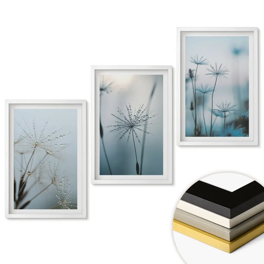 Set tablouri pentru living cu picături de rouă pe fire delicate de iarbă