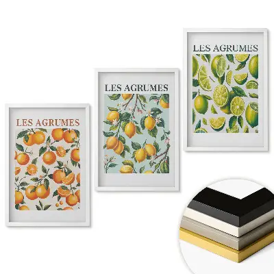 Set 3 tablouri pentru living cu ilustrații colorate de citrice