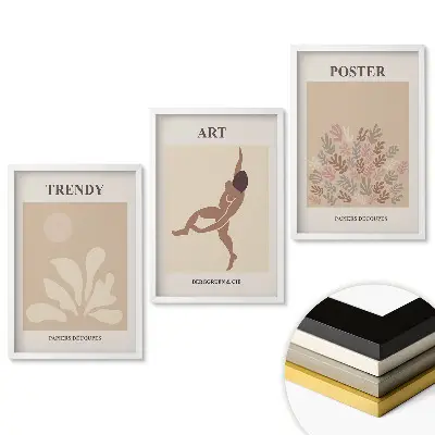 Set de 3 tablouri pentru living cu grafică elegantă pentru interioare moderne