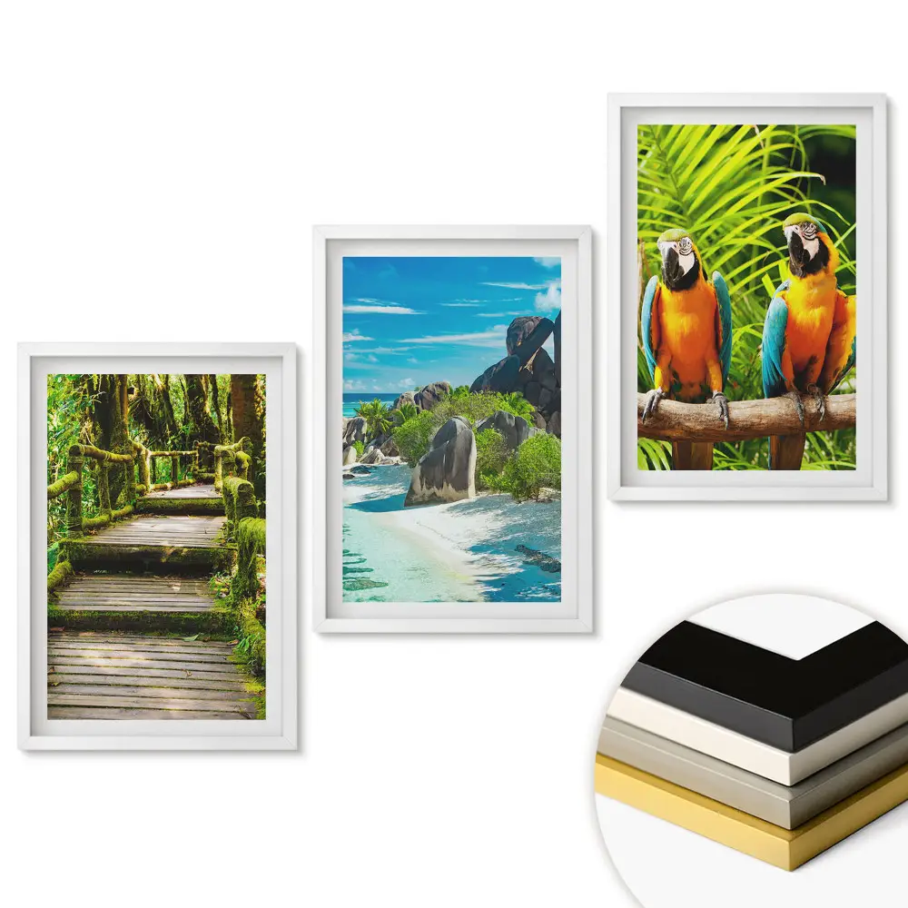 Set de tablouri pentru living cu peisaje tropicale și păsări colorate
