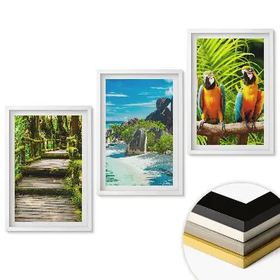 Set de tablouri pentru living cu peisaje tropicale și păsări colorate