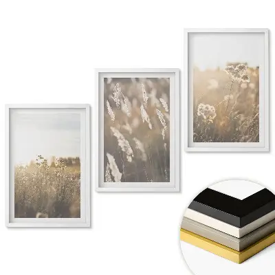 Set 3 tablouri pentru living cu peisaje florale în lumină blândă