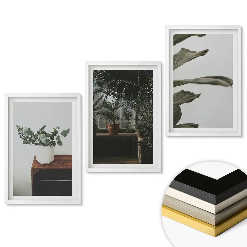 Set 3 tablouri pentru living cu plante într-un interior modern