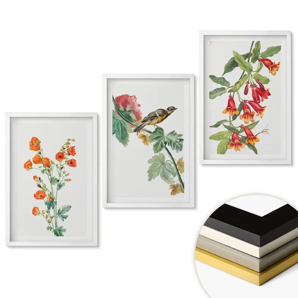 Set de 3 tablouri pentru living cu flori și păsări în natură