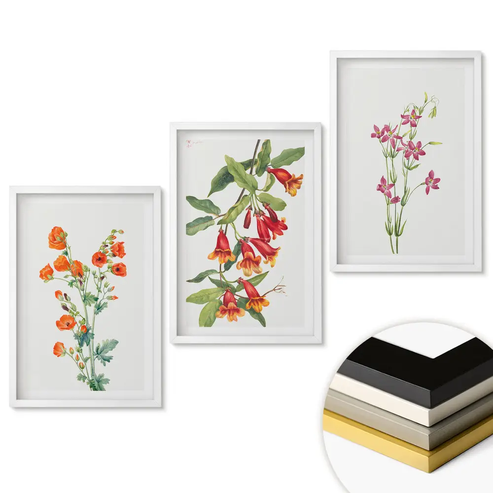 Set de tablouri pentru living cu ilustrații delicate de flori colorate